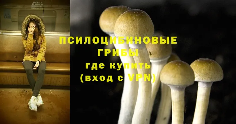 Псилоцибиновые грибы Magic Shrooms  блэк спрут вход  Верхняя Пышма 